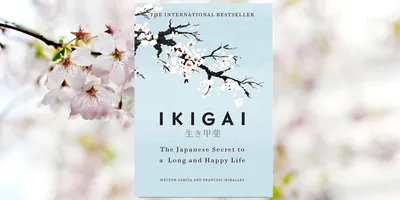 Ikigai Explained: The Japanese Formula for a Meaningful Life
